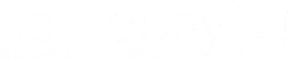 Same Day Building and Pest Inspections logo reversed